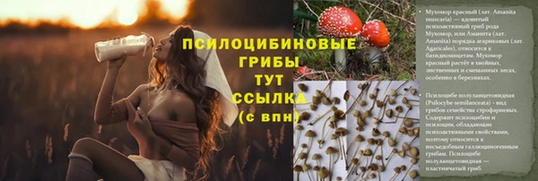 синтетический гашиш Белокуриха