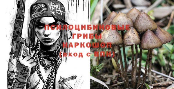 синтетический гашиш Белокуриха