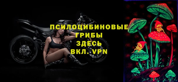 стафф Беломорск
