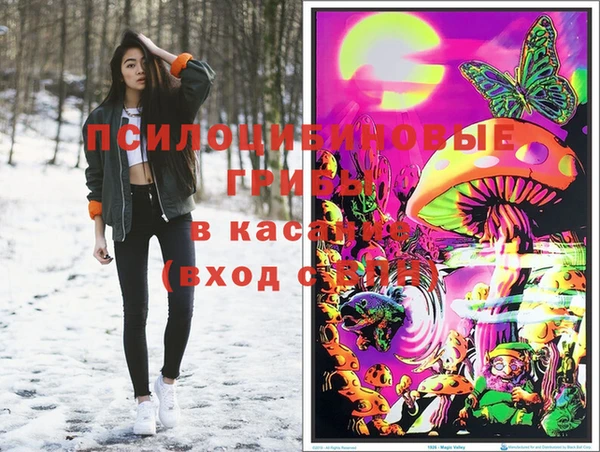 синтетический гашиш Белокуриха