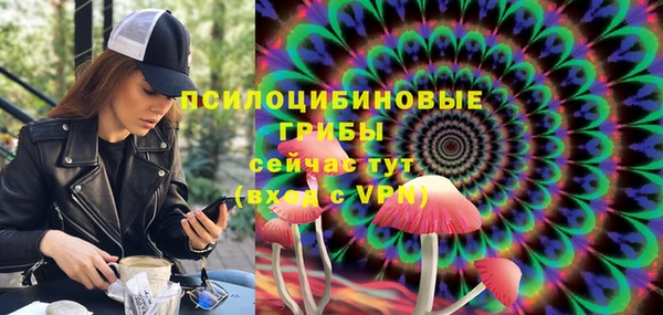 PSILOCYBIN Белоозёрский