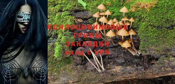 PSILOCYBIN Белоозёрский