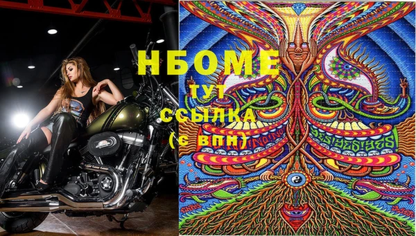 стафф Беломорск
