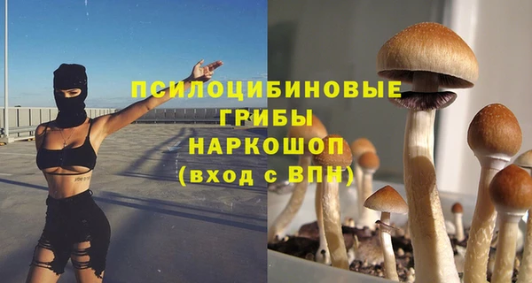 PSILOCYBIN Белоозёрский