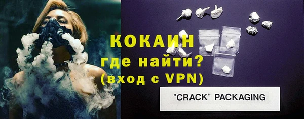 прущие грибы Ростов