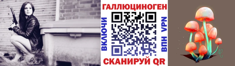 OMG зеркало  Жердевка  Псилоцибиновые грибы мицелий 
